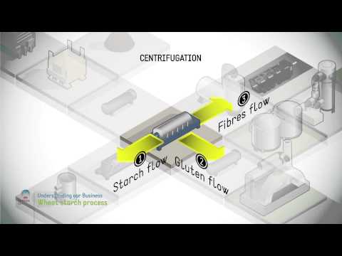 Wheat starch process