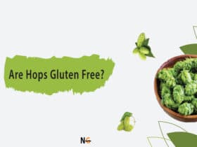 Are Hops Gluten Free