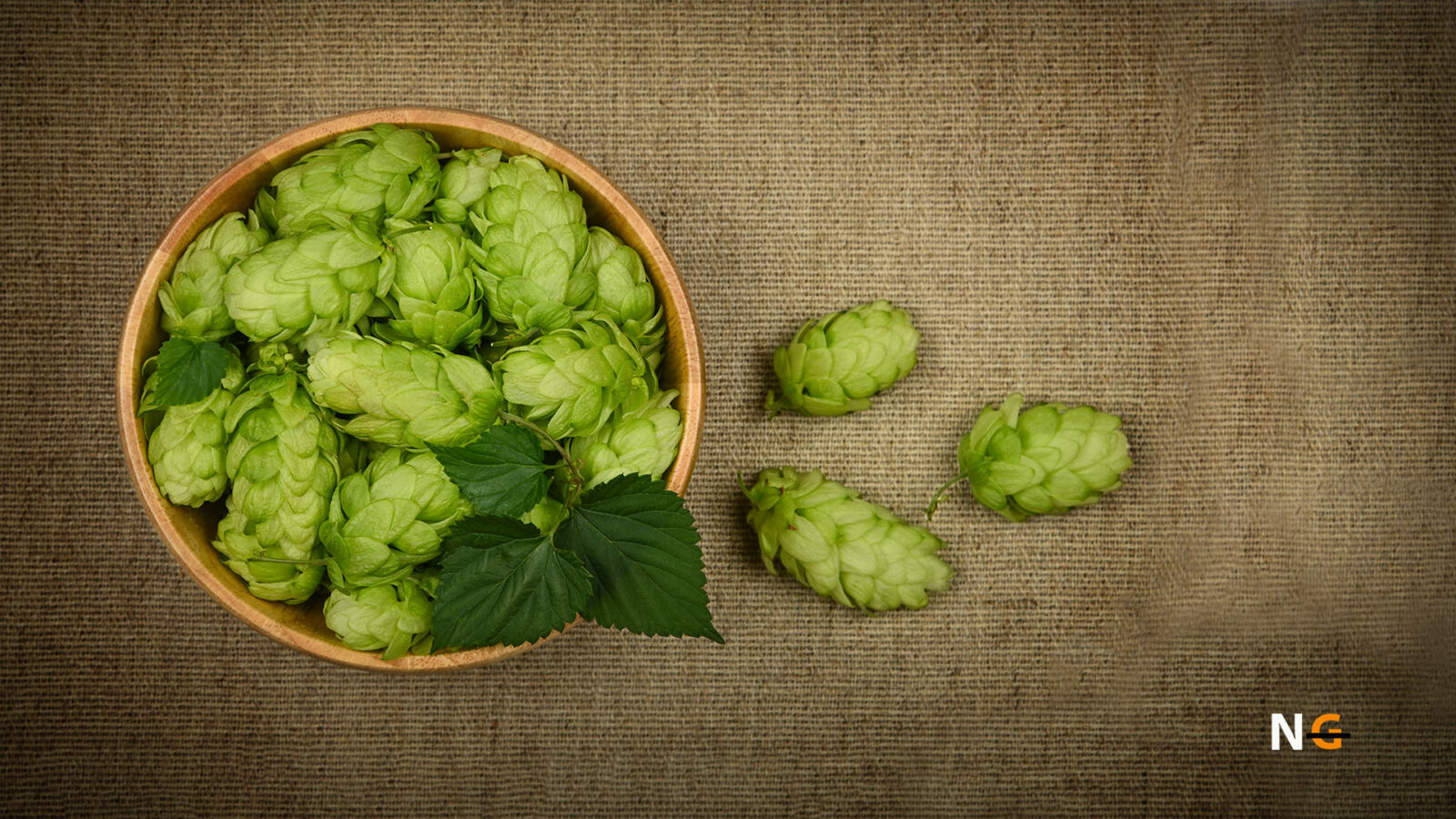 Are Hops Gluten Free? Truth Revealed Nothing Gluten