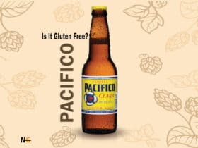 Is Pacifico Gluten Free