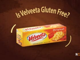 Is Velveeta Gluten free