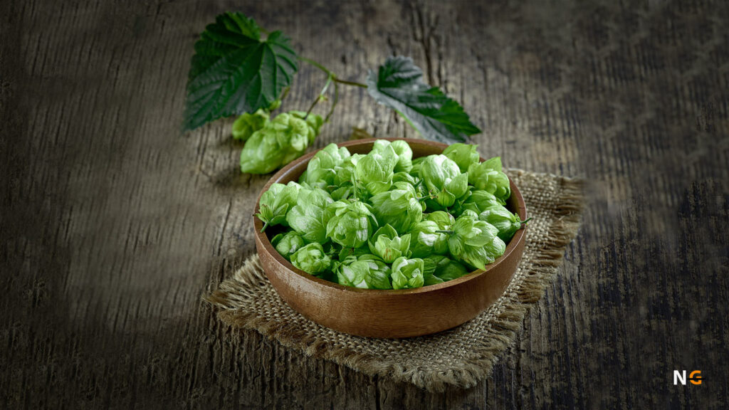 Types of Hops
