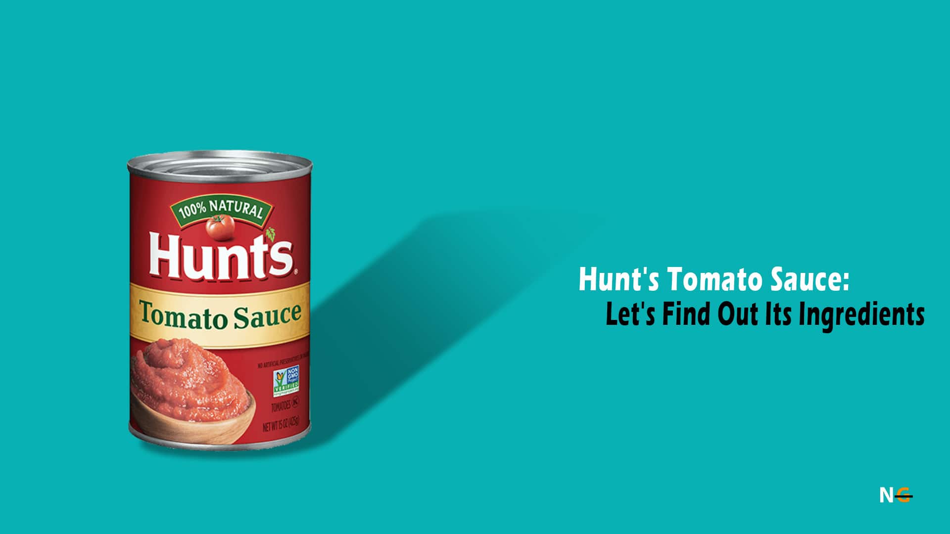 Hunt's Tomato Sauce Let's Find Out Its Ingredients