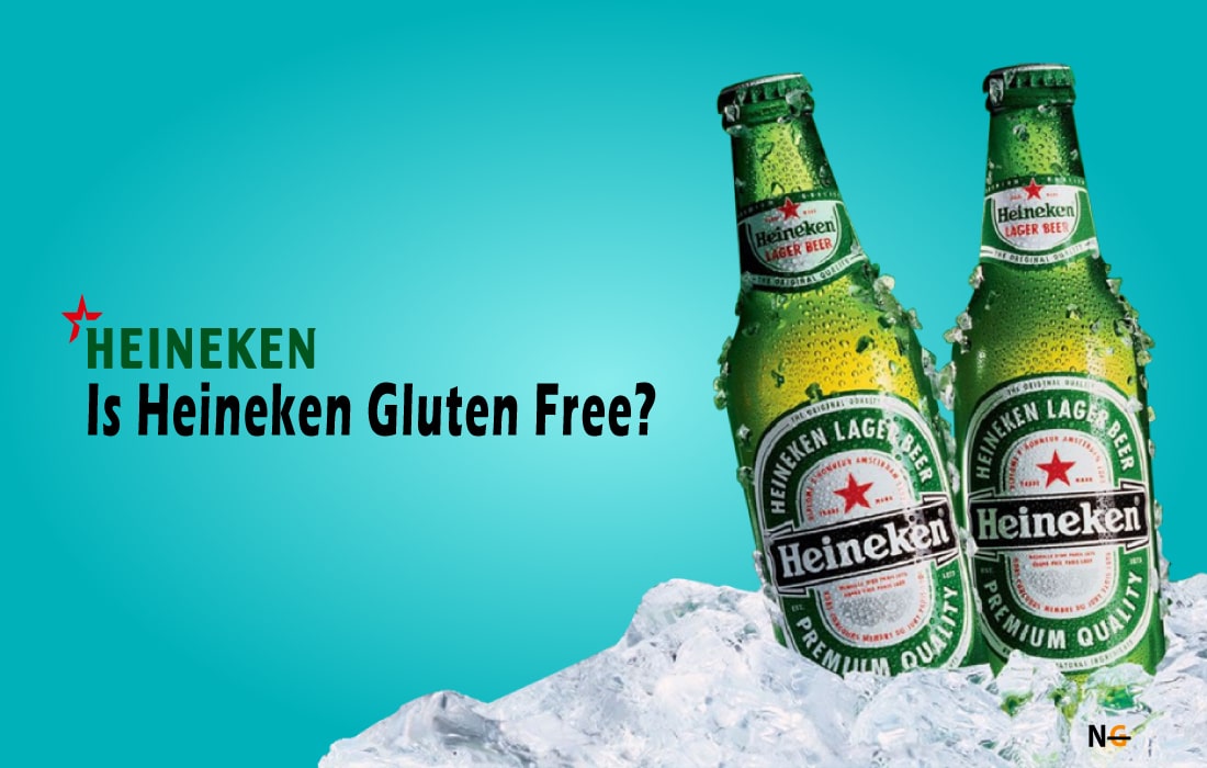 Is Heineken Gluten Free