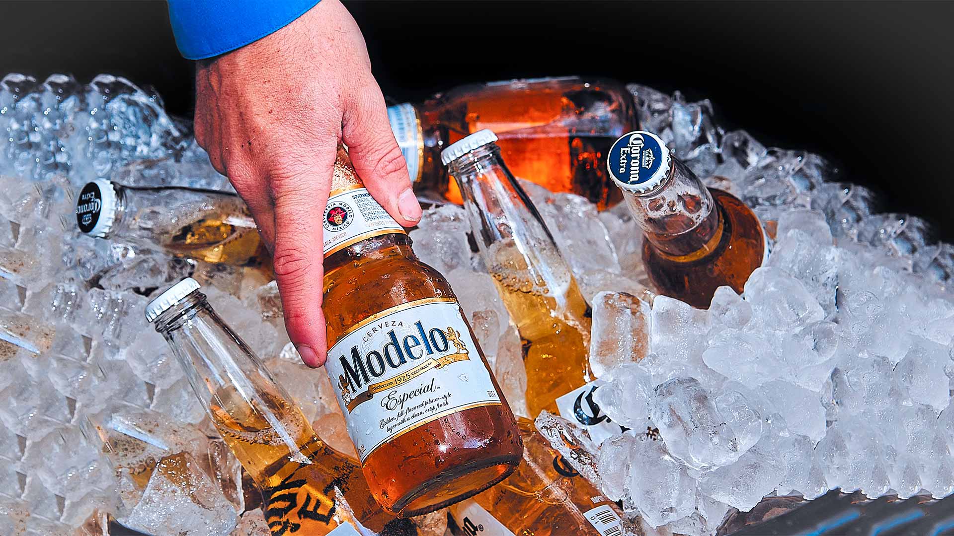 Most Frequently Asked Questions About Modelo 