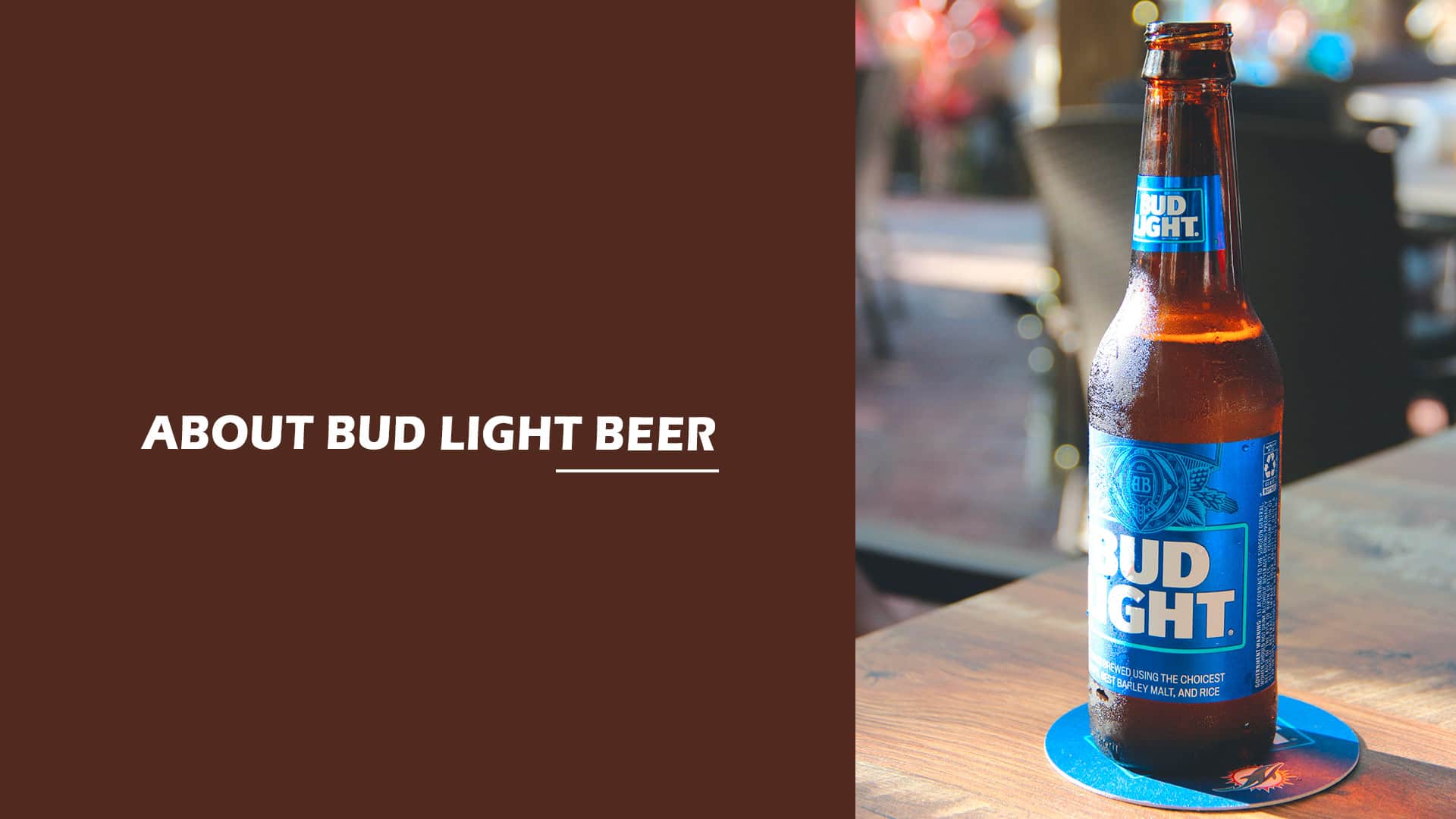 About Bud Light Beer The Most Popular American Beer Brand