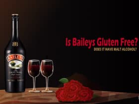 Is Baileys Gluten Free