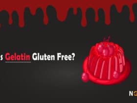 Is Gelatin Gluten Free