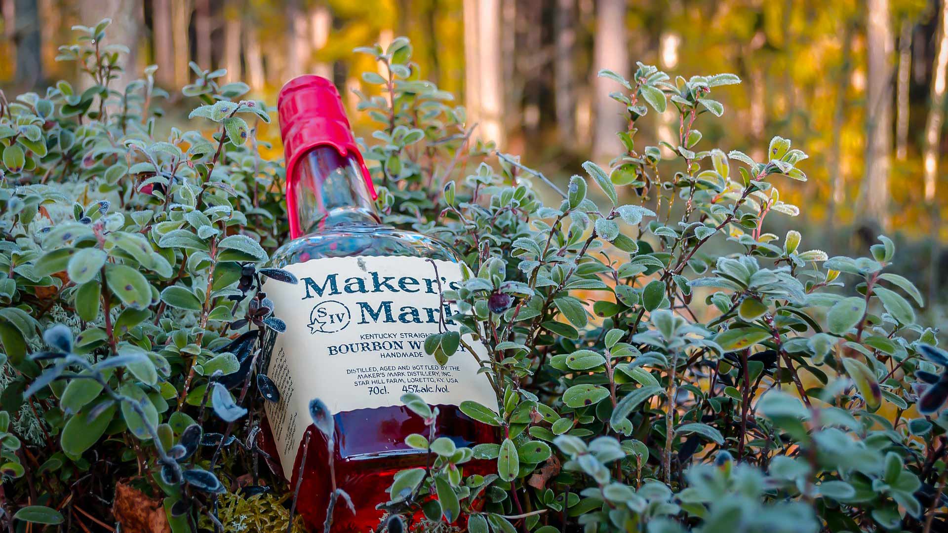 Is Maker’s Mark Gluten Free Is It Safe for Celiacs