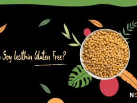 Is Soy Lecithin Gluten Free