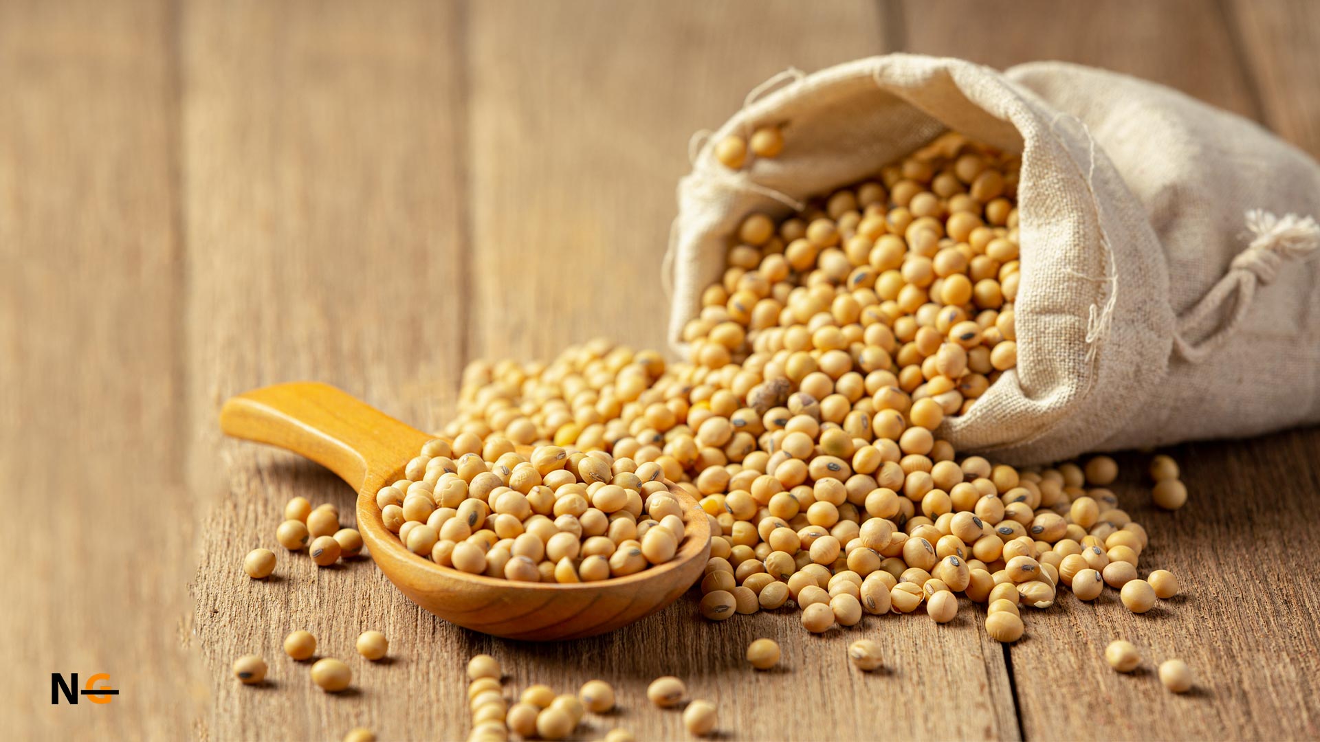 Is Soy Lecithin Have Gluten