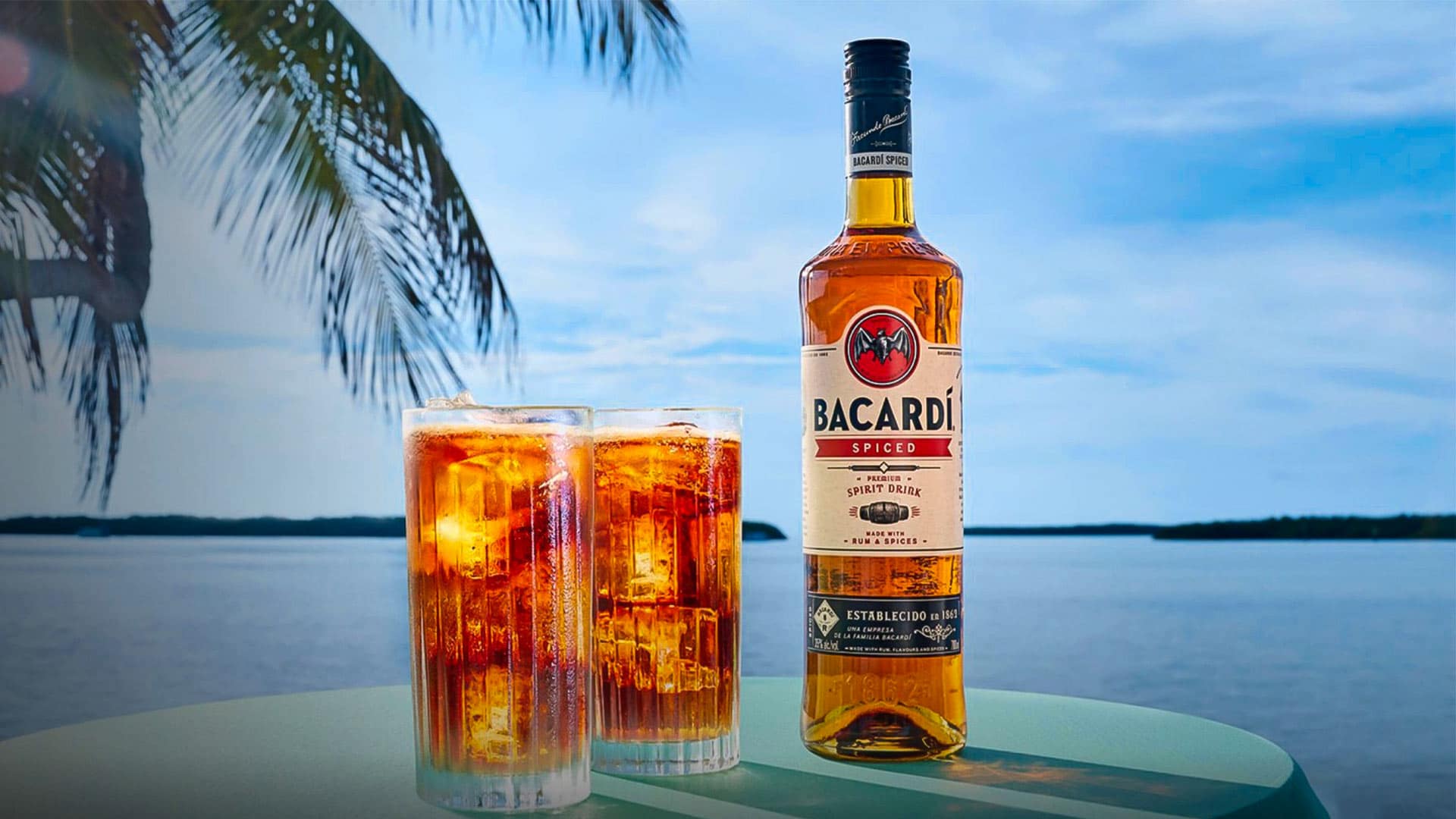 What Ingredients Are There In Bacardi Rum