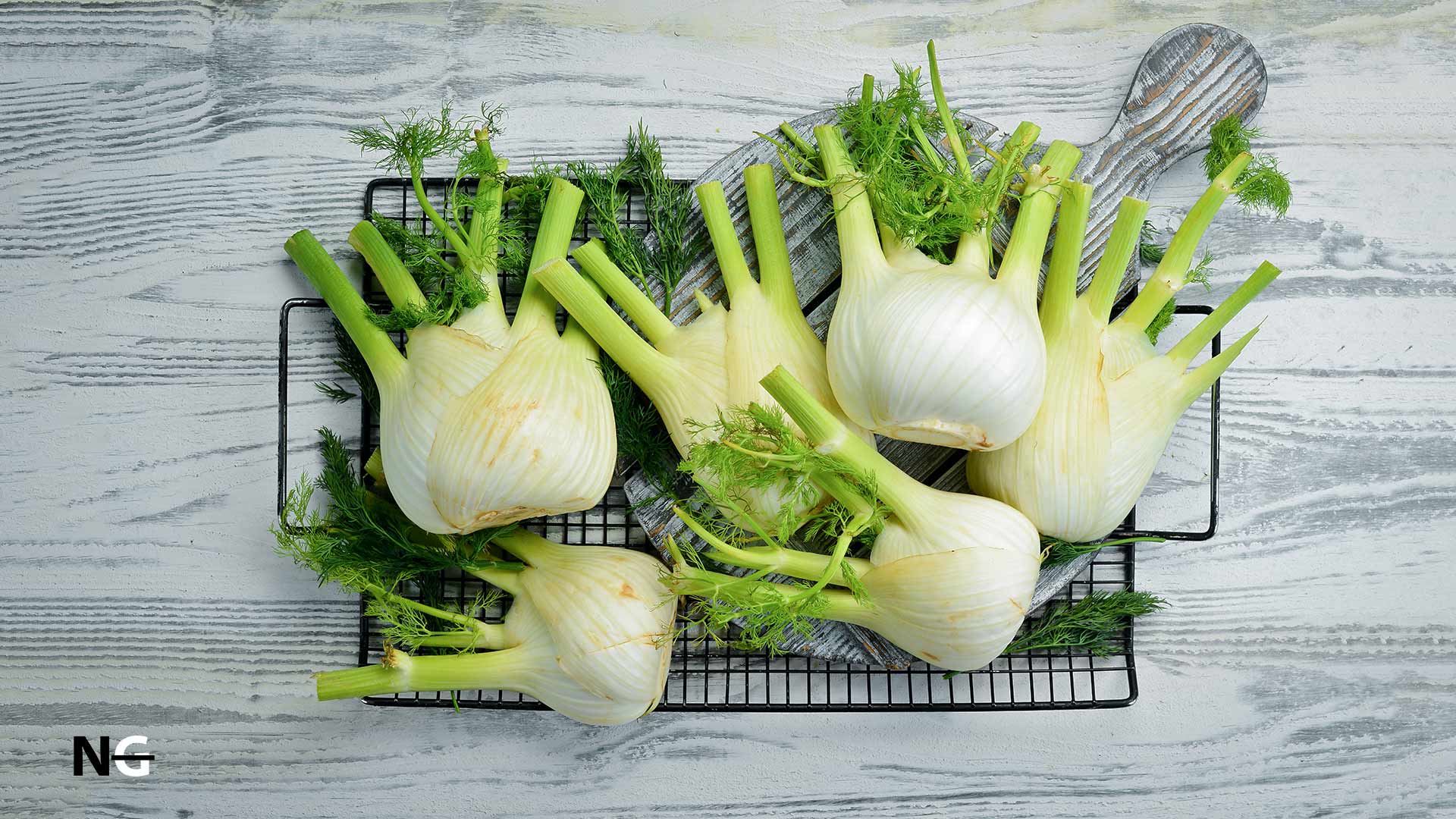 What is Fennel