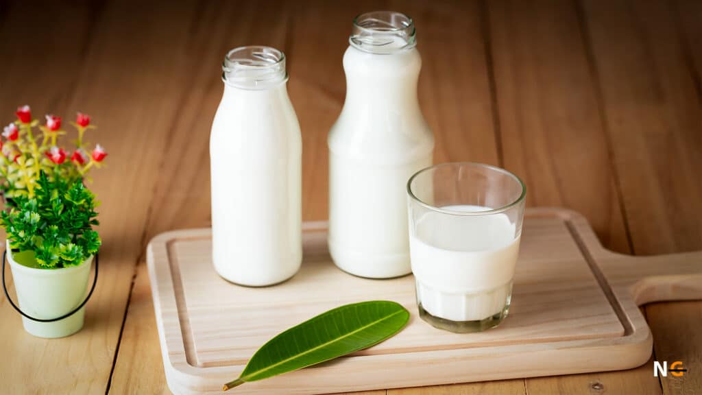 Is Powdered Milk Gluten Free? Let’s Find Out Nothing Gluten