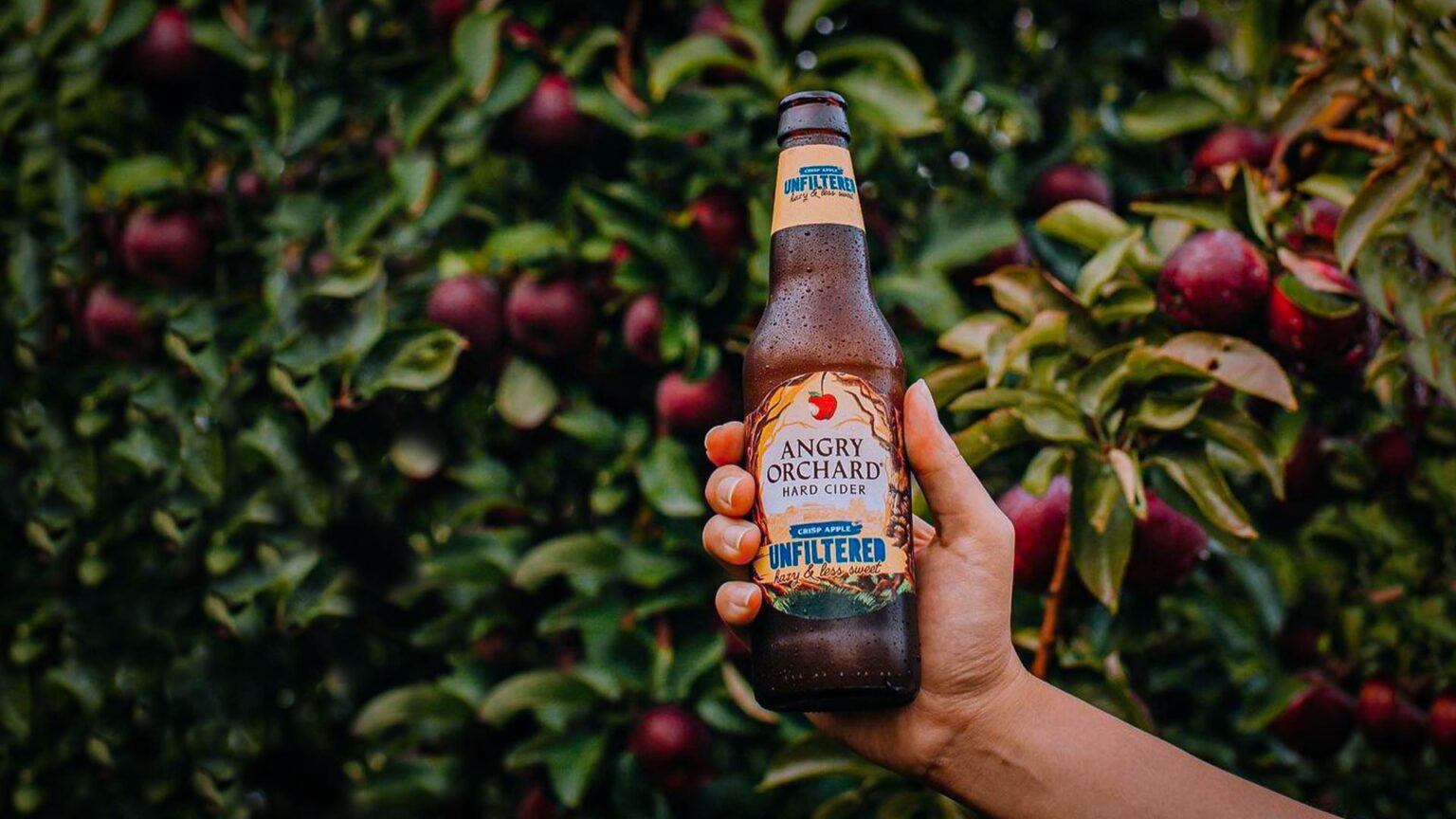 Is Angry Orchard Gluten Free? Know Facts Nothing Gluten