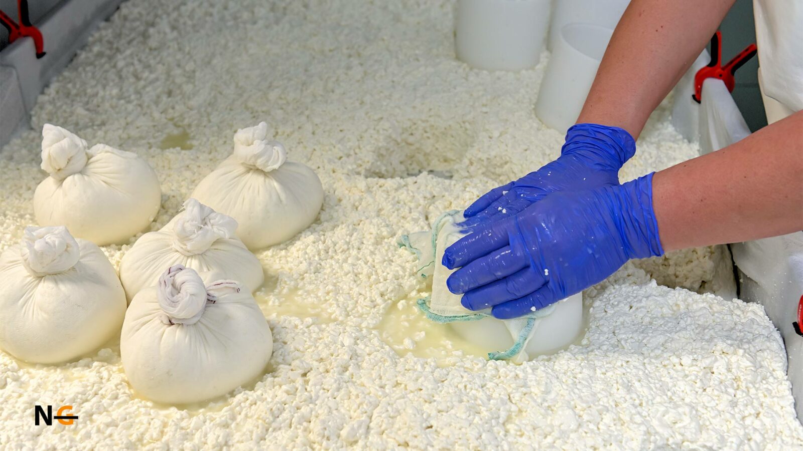 Is Ricotta Cheese Gluten Free? Truth! Nothing Gluten