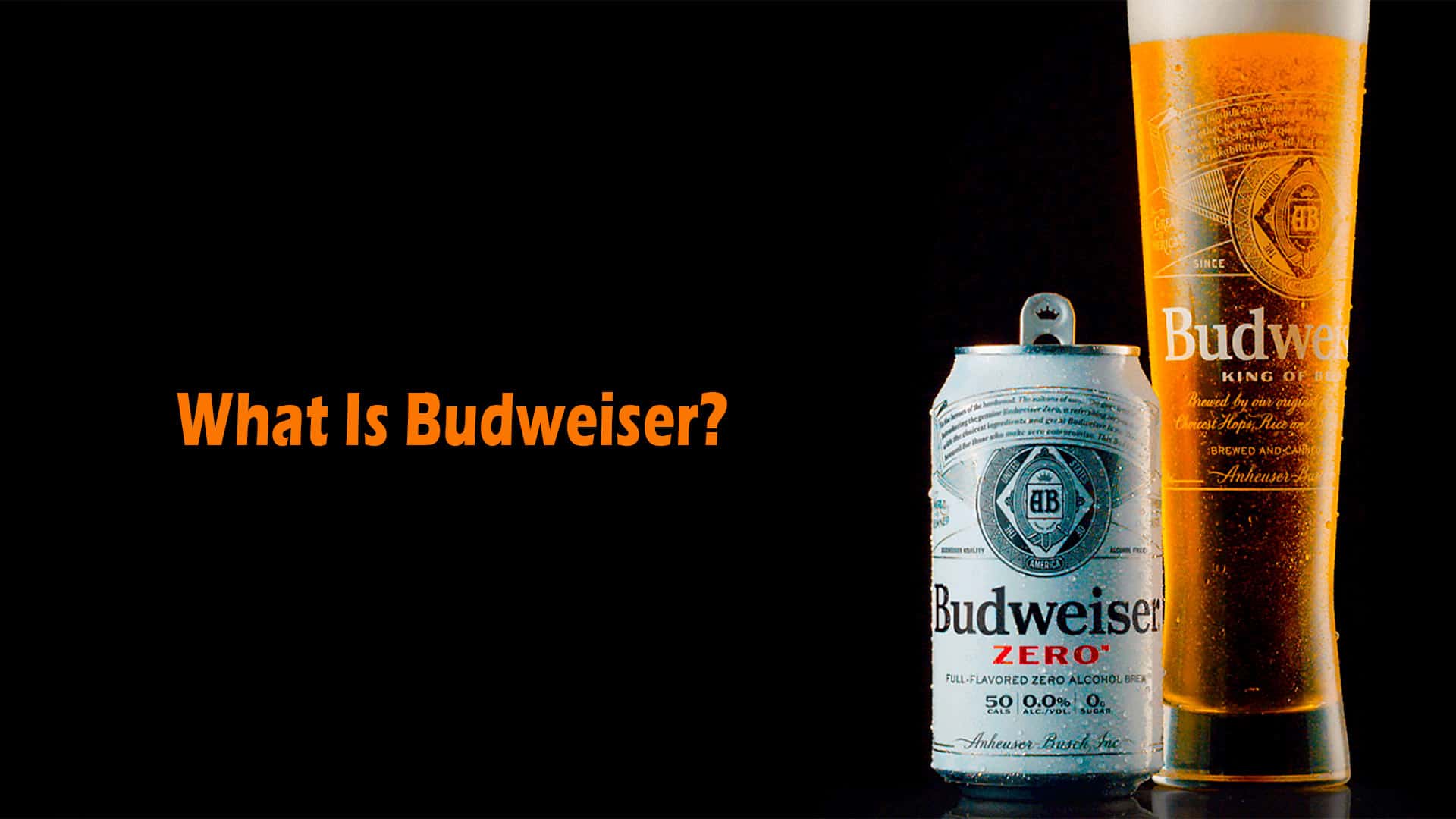 What Is Budweiser