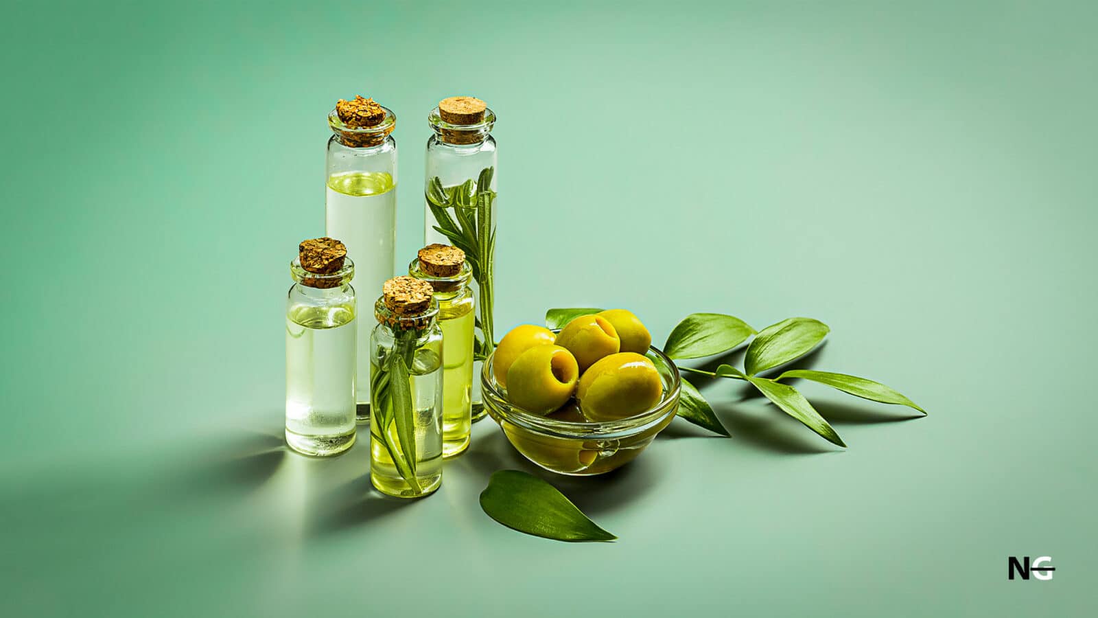Is Olive Oil Gluten Free? The Truth You Should Know Nothing Gluten