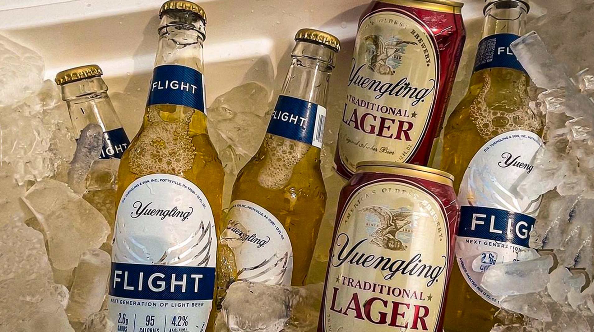 Bunch of Yuengling Bottles