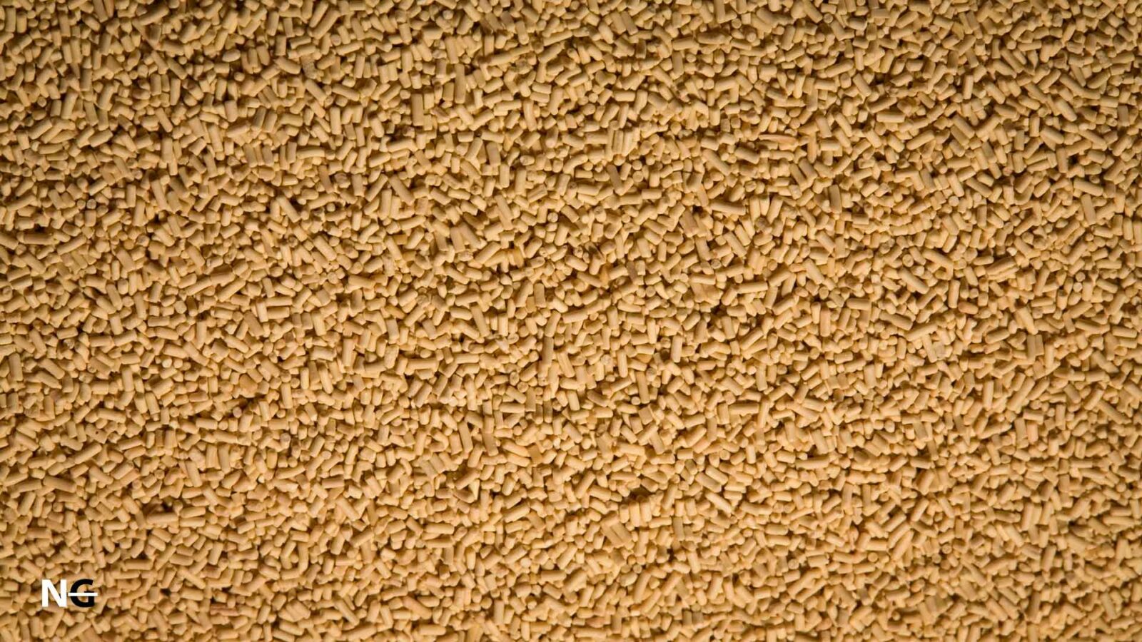 Is Torula Yeast Gluten Free? The Truth Nothing Gluten Is Torula Yeast Gluten Free? The Truth Nothing Gluten
