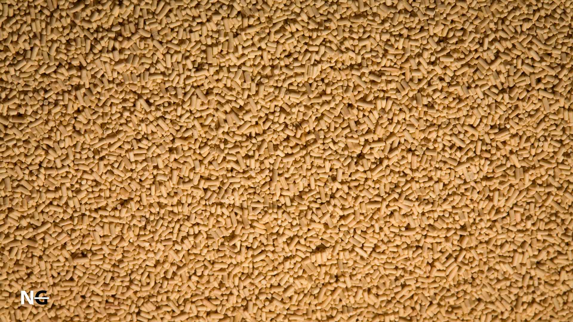 Is Torula Yeast Gluten Free? The Truth Nothing Gluten