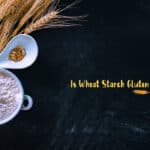 Is Wheat Starch Gluten Free