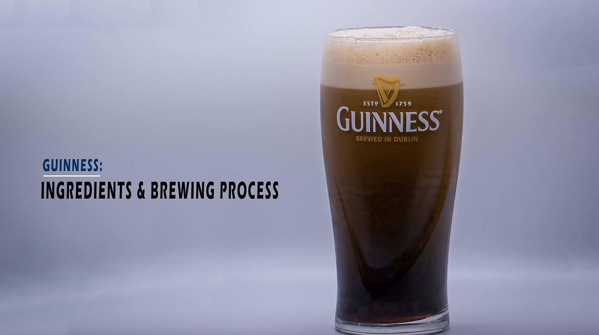 Guinness Ingredients & Brewing Process