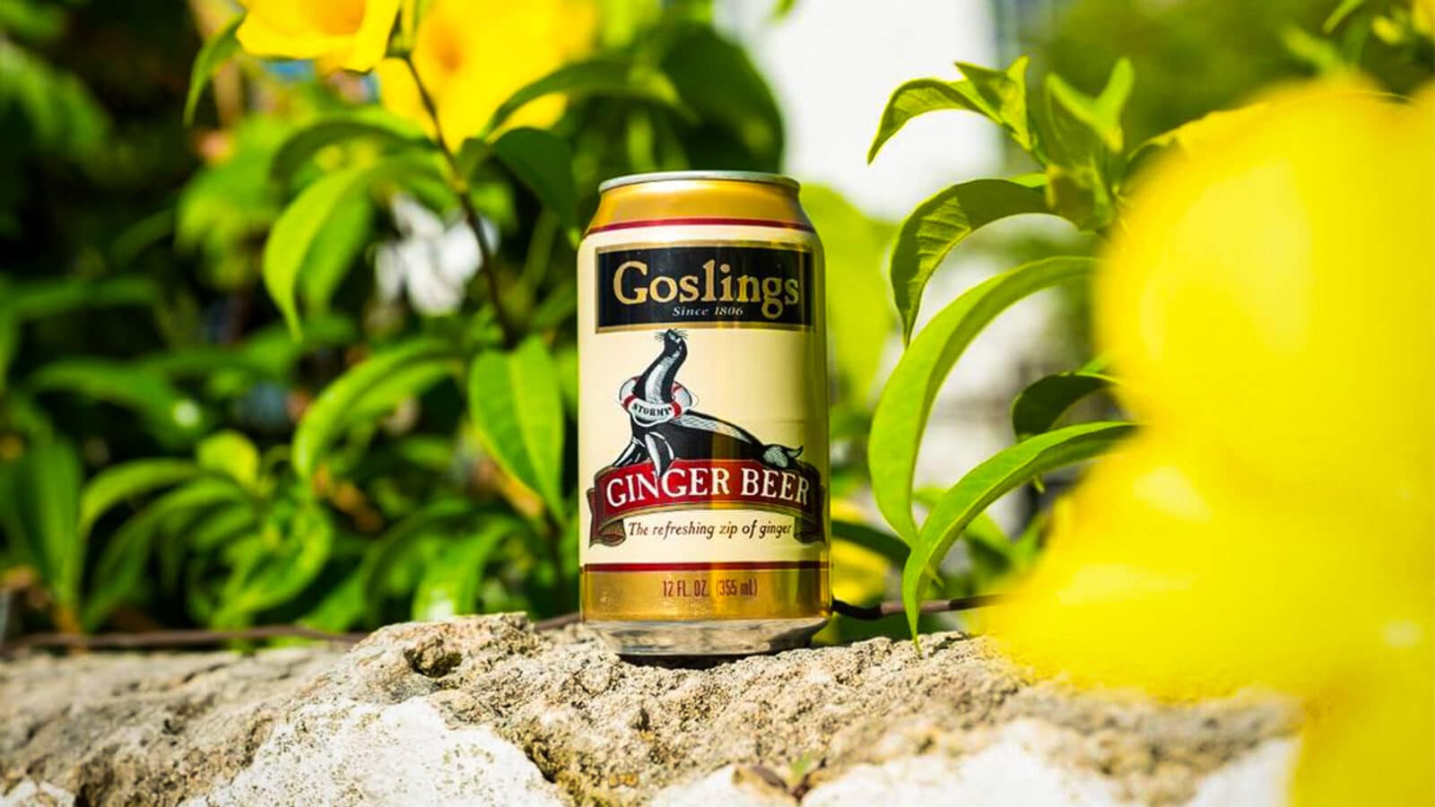 Is Gosling #39 s Ginger Beer Gluten Free? You Must Know This Nothing Gluten Is Gosling #39 s Ginger Beer Gluten Free? You Must Know This Nothing Gluten