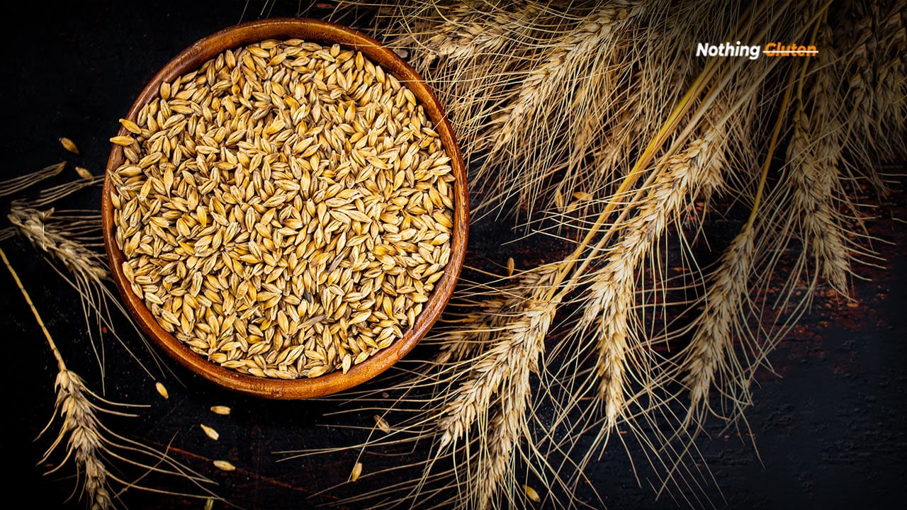 Is Malt Flavor Gluten Free Socking Truth Nothing Gluten
