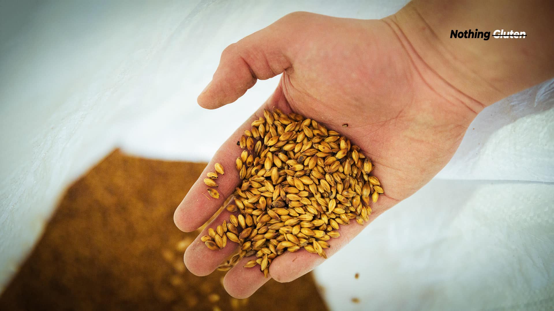 Is Malt Flavor Gluten Free? Socking Truth! Nothing Gluten