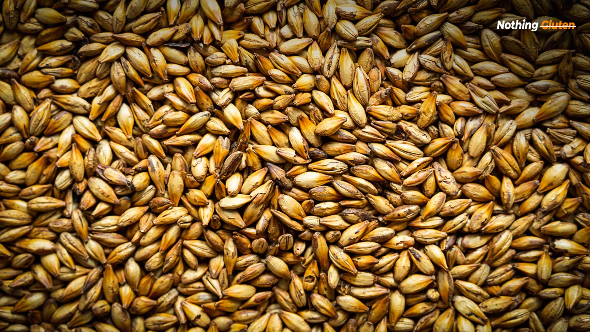 Is Malt Flavor Gluten Free? Socking Truth! Nothing Gluten