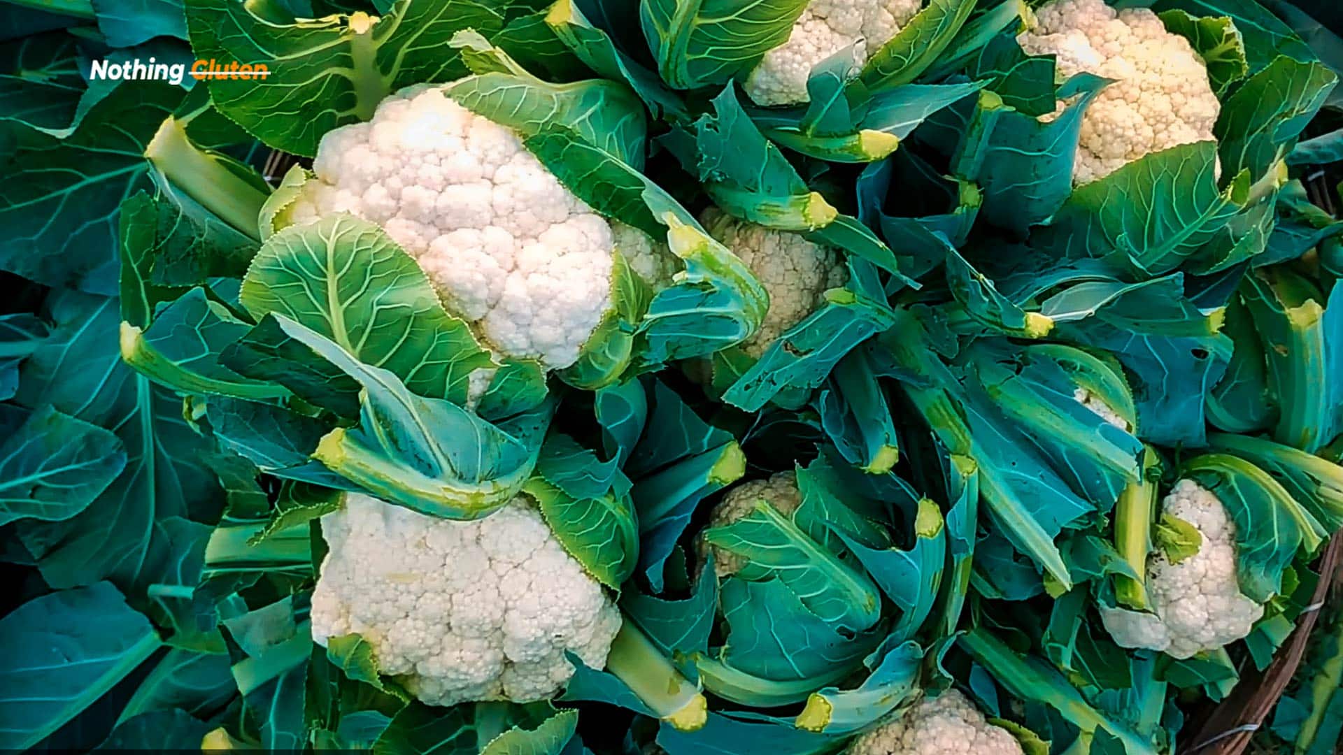 Is Have Cauliflower Gluten Inside